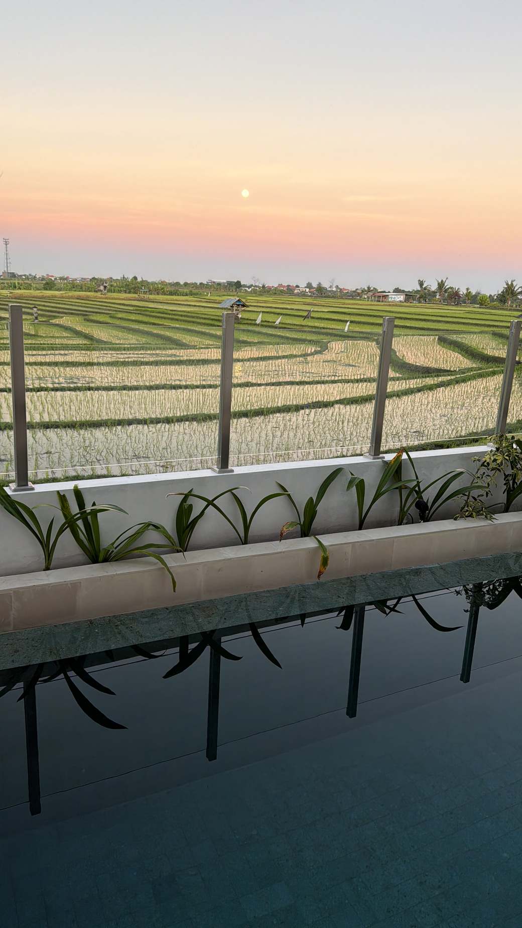 Babakan Kubu rice fields