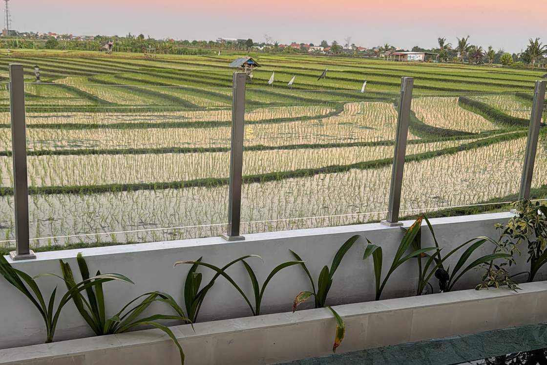 Lumina Villa pool with rice field views